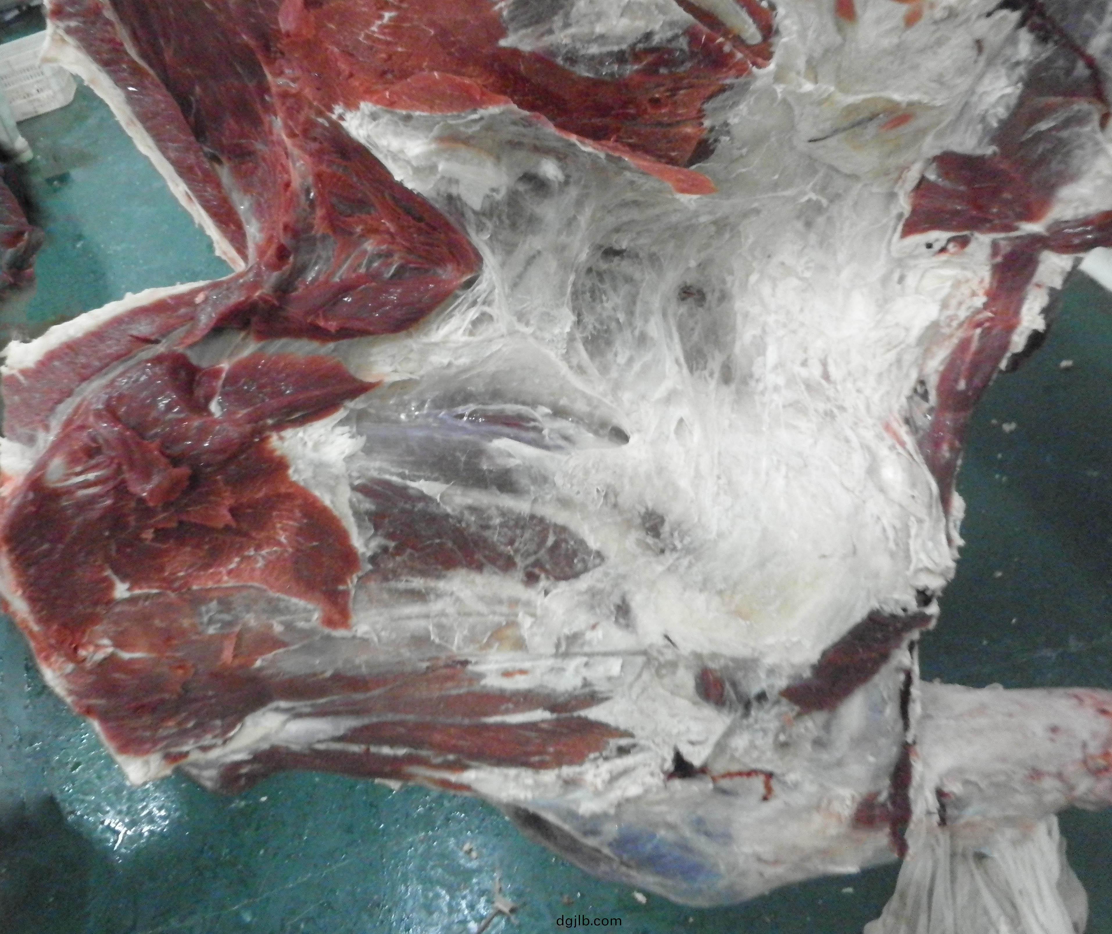 羊(yang)肉.jpg 羊(yang)肉.jpg