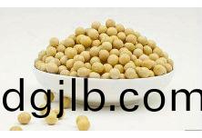 素食機(ji)械(xie)